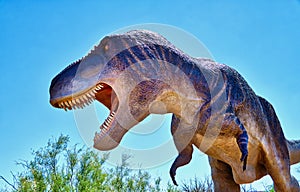 Tyrannosaurus Rex