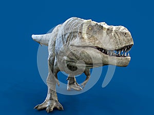 Tyrannosaurus rex