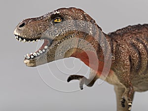 Tyrannosaurus rex photo