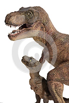 Tyrannosaurus rex with baby t-rex on white background