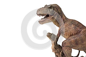 Tyrannosaurus rex with baby t-rex on white background