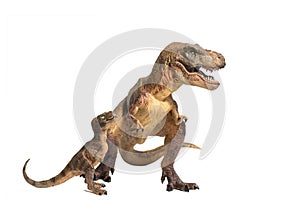 Tyrannosaurus rex with baby t-rex on white background