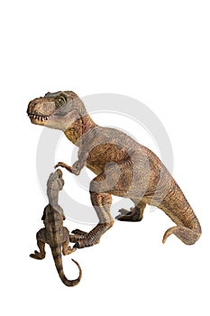 Tyrannosaurus rex with baby t-rex on white background