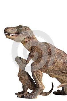 Tyrannosaurus rex with baby t-rex on white background