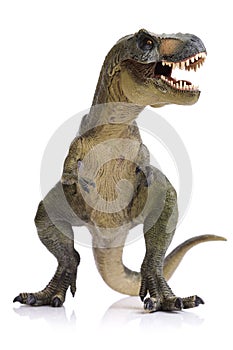 Tyrannosaurus Rex dinosaur photo