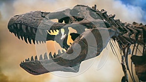 Tyrannosaurus Rex Dinosaur Fossil Smoke