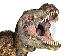 Tyrannosaurus Rex dinosaur, photorealistic representation. Head photo