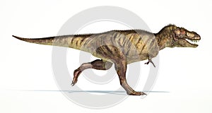 Tyrannosaurus Rex dinosaur, photorealistic representation. Side
