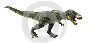 Tyrannosaurus rex photo