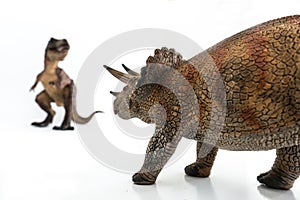 Tyrannosaurus rex fighting versus triceratops on white background