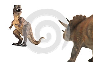 Tyrannosaurus rex fighting versus triceratops on white background