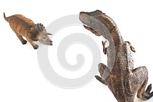 Tyrannosaurus rex fighting versus triceratops on white background