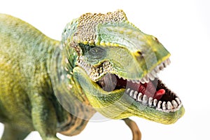 Tyrannosaurus Rex figurine on white