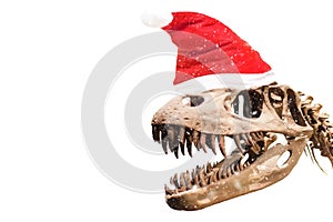 Tyrannosaurus Rex head with blank thought ballon on white isolated background with copyspace.