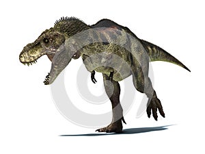 Tyrannosaurus Rex, isolated at white background with clipping path