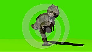 Tyrannosaurus rex Running on Green Screen