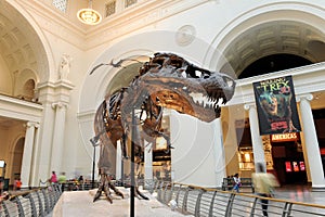 Tyrannosaurus Rex Sue at Field Museum in Chicago