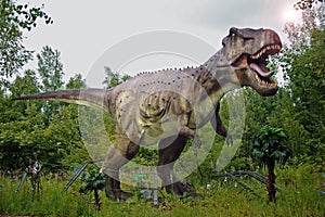 Tyrannosaurus rex. photo