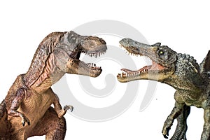 Tyrannosaurus rex versus Spinosaurus isolated on white background