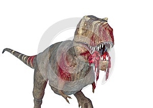 Tyrannosaurus rex in white background