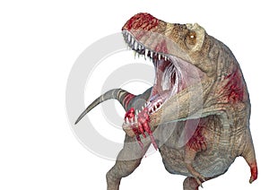 Tyrannosaurus rex in white background