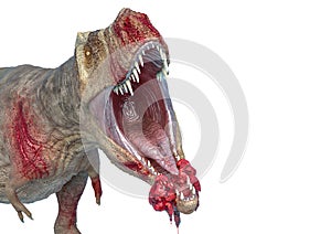 Tyrannosaurus rex in white background