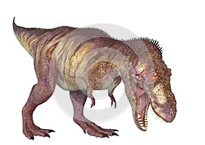 Tyrannosaurus rex in white background