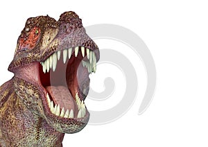 Tyrannosaurus rex in white background