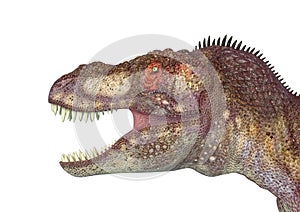 Tyrannosaurus rex in white background