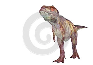 Tyrannosaurus rex in white background