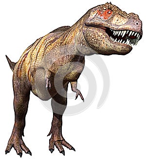 Tyrannosaurus side up