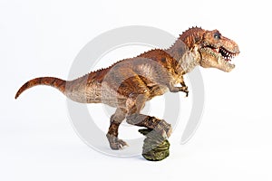 Tyrannosaurus T-rex ,dinosaur on white background