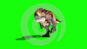 Tyrannosaurus T-Rex Runcycle Front Green Screen 3D Rendering Animation
