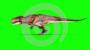 Tyrannosaurus T-Rex Runcycle Green Screen 3D Rendering Animation