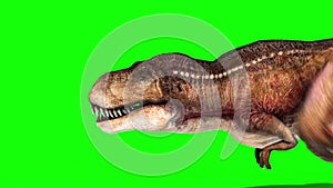 Tyrannosaurus T-Rex Runcycle Side Green Screen 3D Rendering Animation