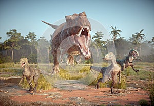Tyrannosaurus and velociraptor in nature