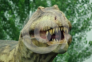 Tyranosaurus photo