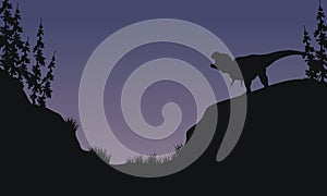 Tyranosaurus in hills scnery silhouette photo