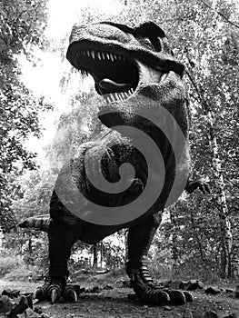 Tyranosaurus Rex photo