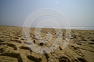 Tyre impressions on the sandy beach of Chandrabhaga, Konark, India.