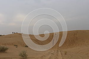 Tyre marks in the Thar desert, Jaisalmer