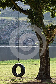 Tyre Rope Tree Swing By A Lake photo