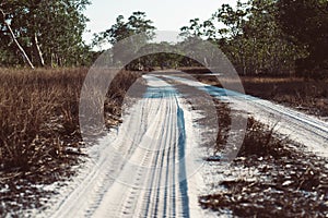 Tyre track on dirt sand or mud at forest,Off road track