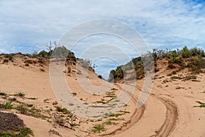 Tyre Tracks Across A Sand Dune
