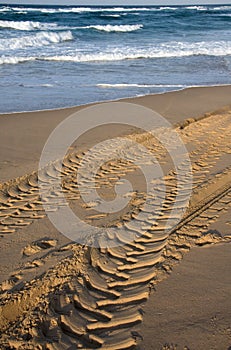 Tyre tracks beach