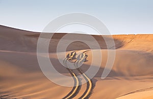 Tyre tracks inthe desert at sunrise