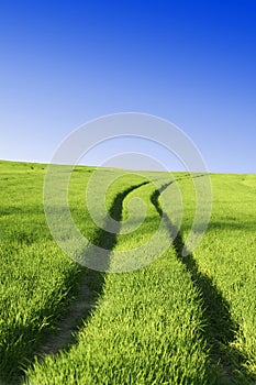 Tyre tracks over field