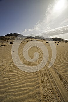 Tyre tracks in the sand