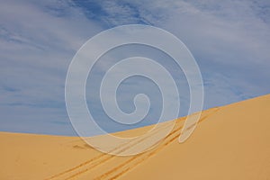 Tyre tracks on sand dune