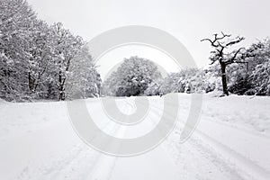 Tyre tracks in the snow